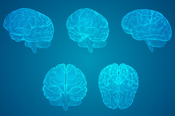 HI元宇宙是哪个公司,元宇宙公司是什么意思