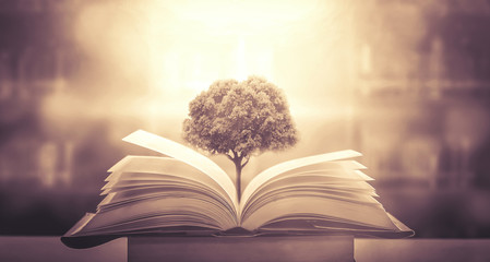 大学课堂如何在书上做好笔记——四色笔记法