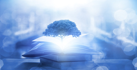 低碳生活有哪些-请举1o个例子