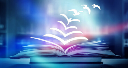 大学课堂如何在书上做好笔记——四色笔记法