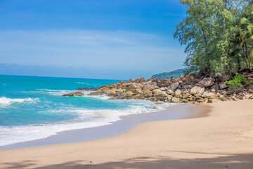 制作叶脉标本的药品 可以用家里的东西代替吗？