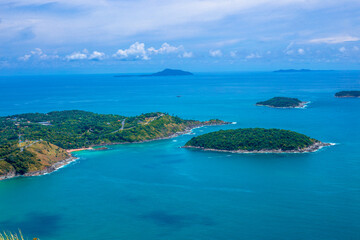 动植物的小知识