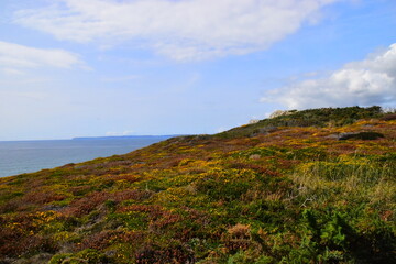 动植物的小知识