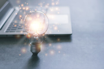 制作叶脉标本的药品 可以用家里的东西代替吗？