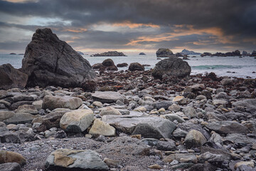 中科院植物园有多少种植物