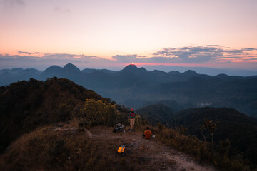 动植物的小知识