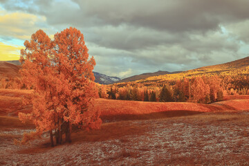 低碳生活有哪些-请举1o个例子