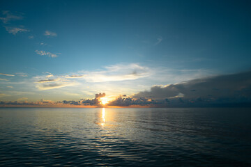 制作叶脉标本的药品 可以用家里的东西代替吗？