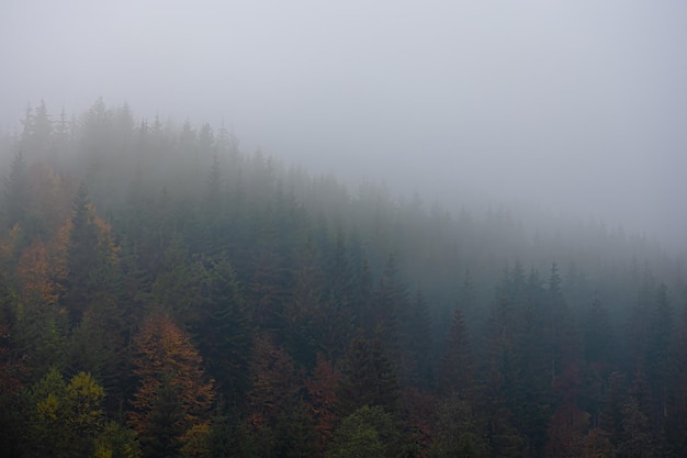 “早点休息”用广东话怎么说