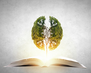 预防传染病手抄报内容