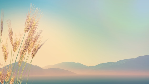 低碳生活有哪些-请举1o个例子