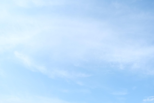 预防传染病手抄报内容