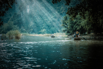 动植物的小知识