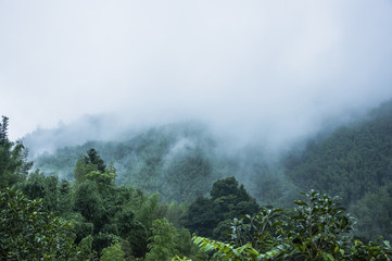 大学课堂如何在书上做好笔记——四色笔记法